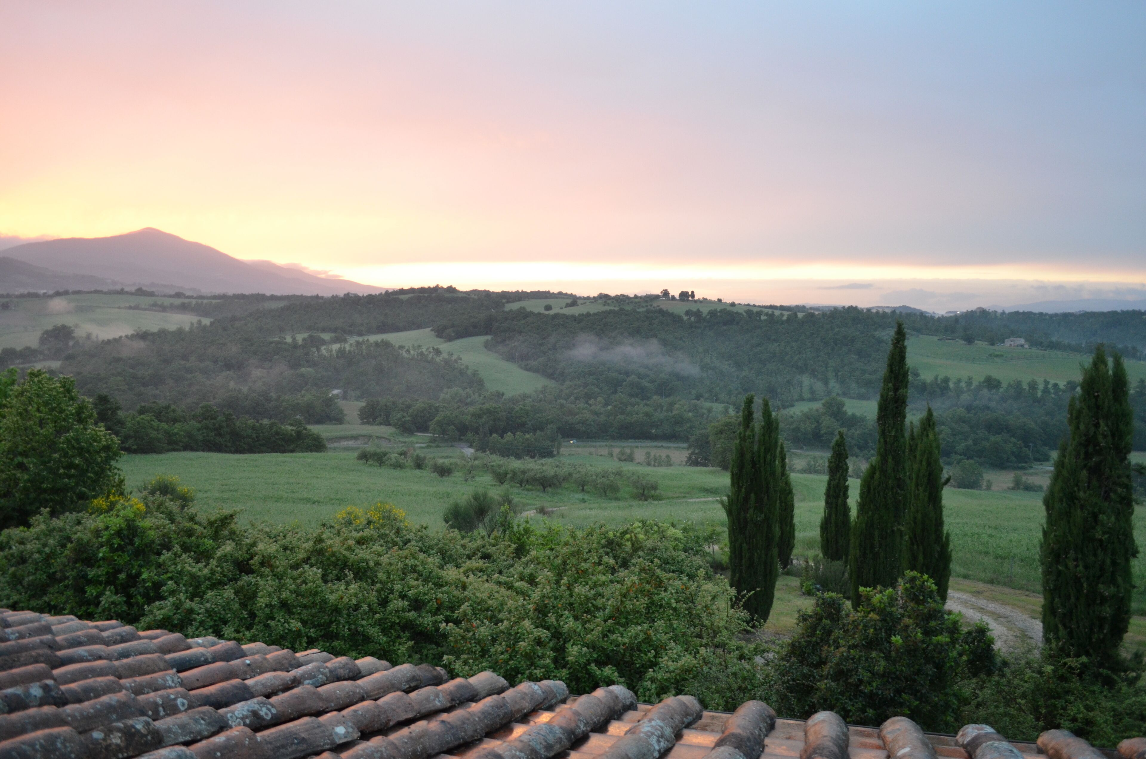 A rural landscape with rolling hills, a mountain in the distance, and a clear sky.