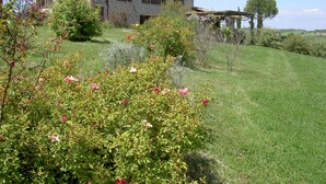 Una casa in pietra con tetto in tegole, circondata da un giardino curato con diverse piante fiorite.
