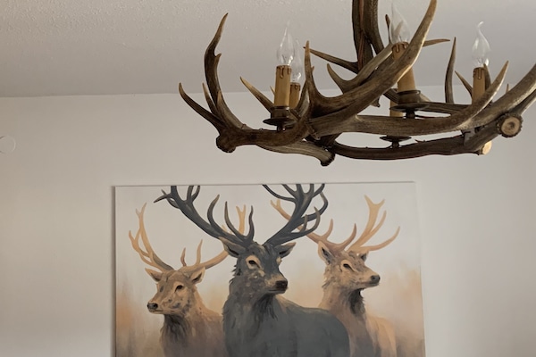 Detalj interiör