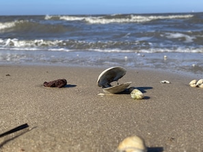 Beach nearby - Lovingly furnished 1-room apartment for max. 2 persons (Cuxhaven)