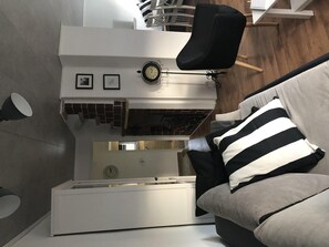 TV, fireplace, books