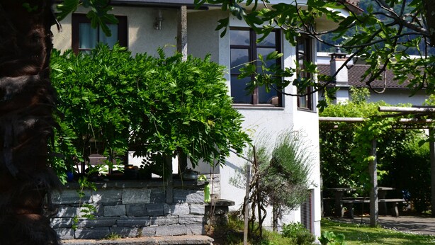 Uma casa com escadaria de pedra, um jardim com diversas plantas e uma vista ampla da região ao redor.