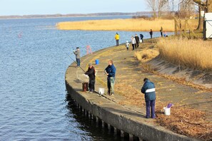 Imagen sin descripción, 5 de 30, botón