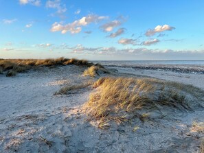 A beach with sand dunes and a clear sky.