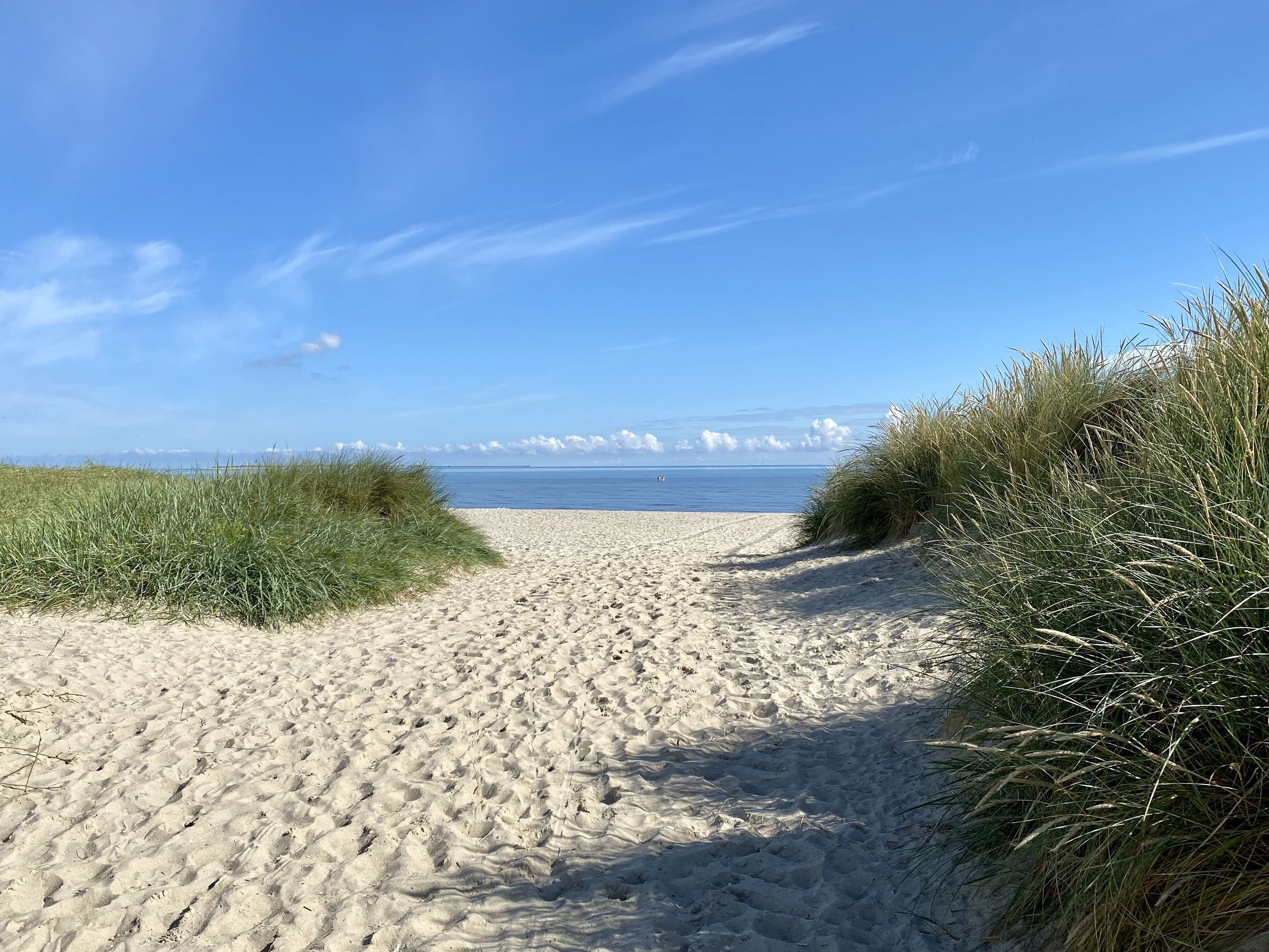 Een zandpad langs het strand, met begroeide duinen aan beide zijden.