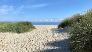 Een zandpad langs het strand, met begroeide duinen aan beide zijden.