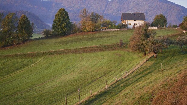 A rural landscape with a house on a hill, surrounded by fields and trees. - Welcome to Paradise (Bled)