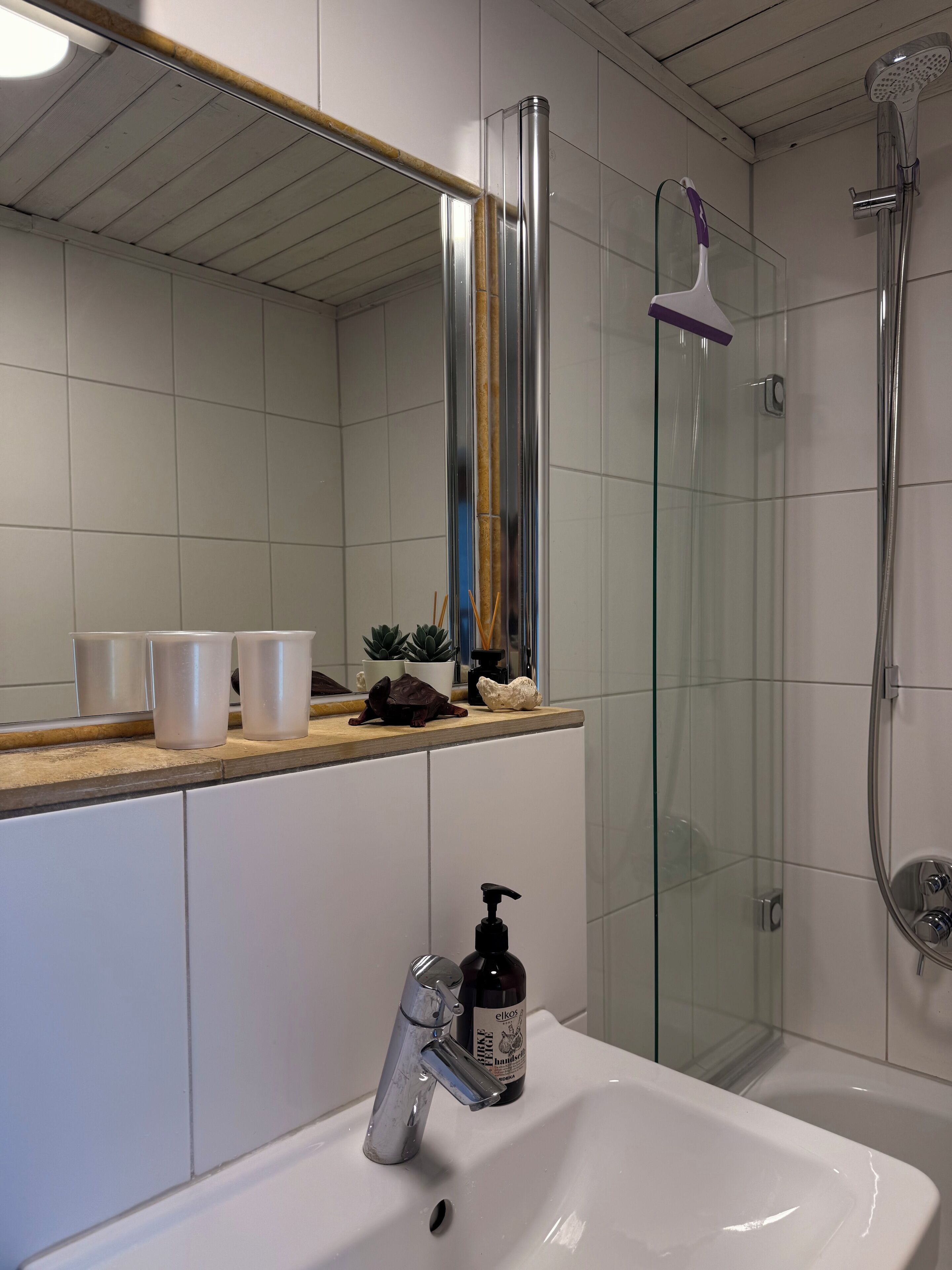 Dusche, Haartrockner