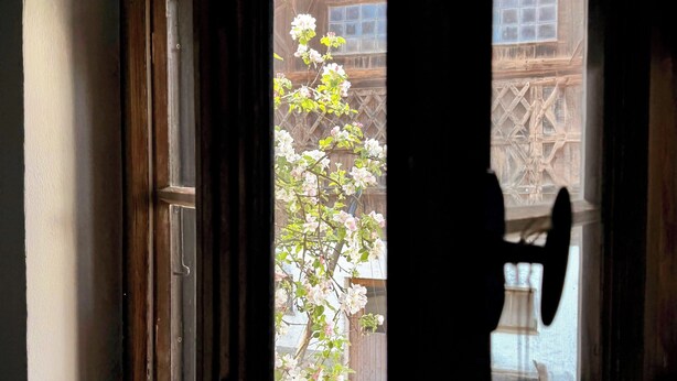 A window with a wooden frame and a view of a tree with white blossoms.
