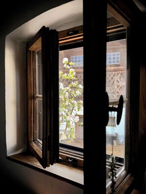 Una finestra con cornice in legno e vista su un albero con fiori bianchi.