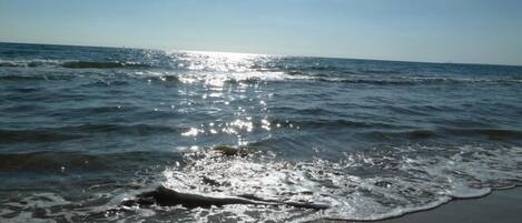 Perto da praia, espreguiçadeiras, toalhas de praia 