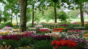 Un jardín con diferentes parterres de flores, árboles y un banco.