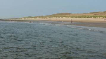 Una playa cerca