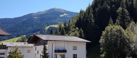 Esterni
