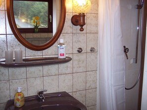 Shower, hair dryer, soap, toilet paper
