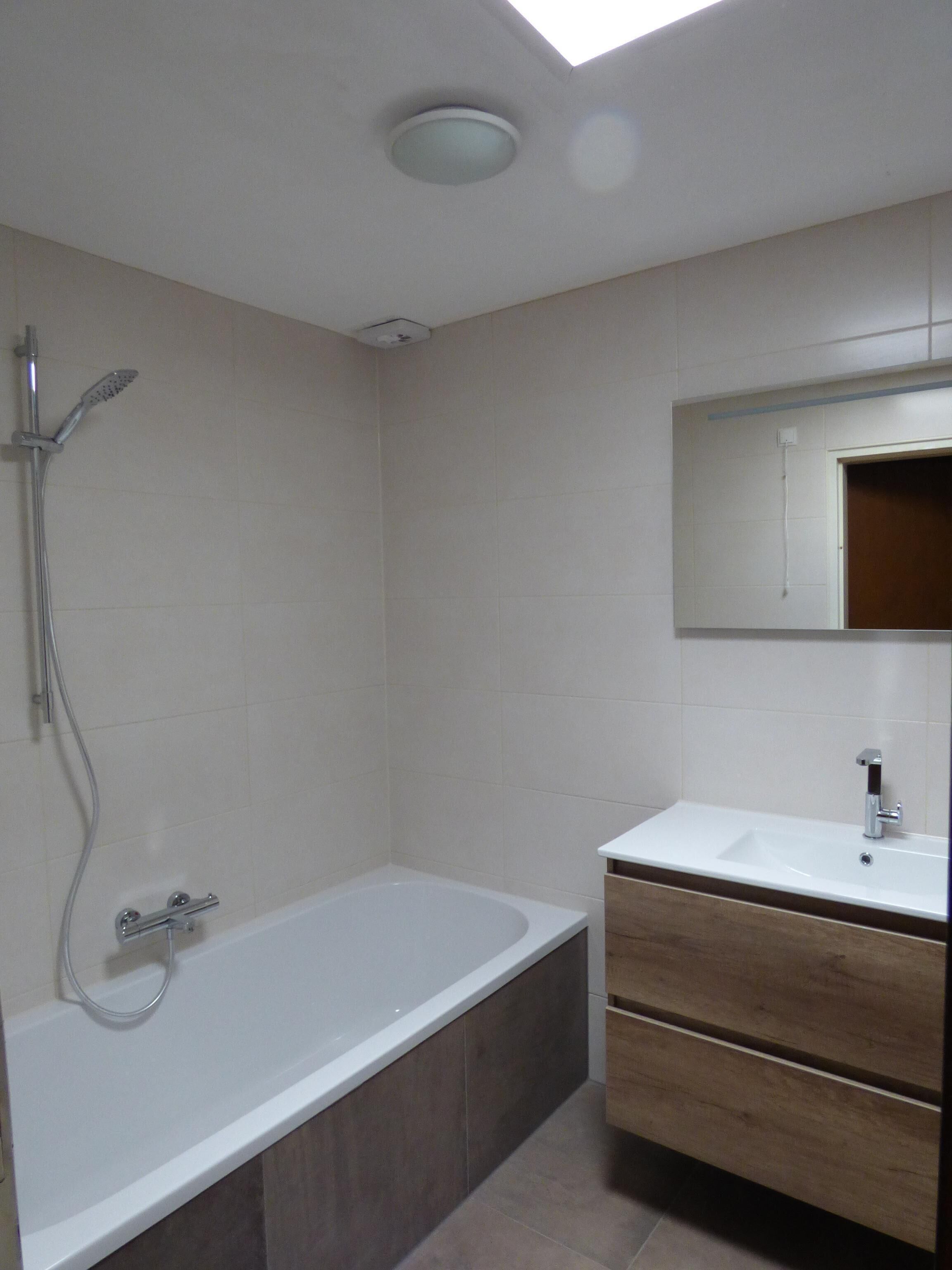 A modern bathroom with a bathtub, shower, and vanity.