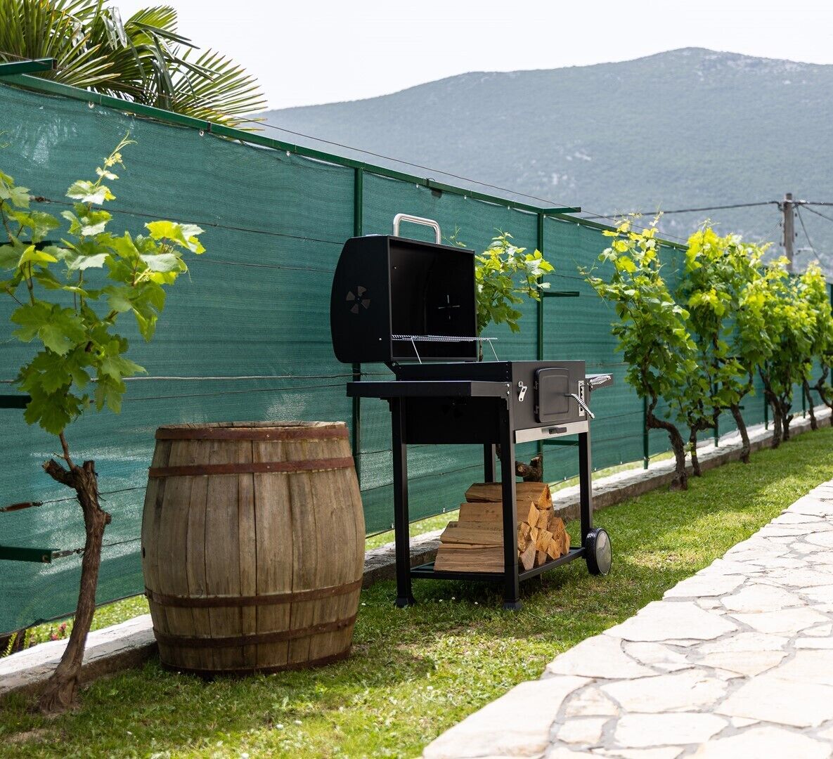A patio area with a grill, a barrel, and a row of grapevines.