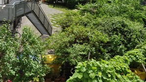Un immeuble résidentiel doté de balcons, d’un espace jardin et d’un chemin menant à l’entrée.
