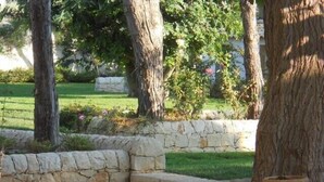 A stone pathway leading through a landscaped garden with trees and a stone wall. - Apartment with heated saltwater pool, private garden, air conditioning, WiFi (Donnalucata)