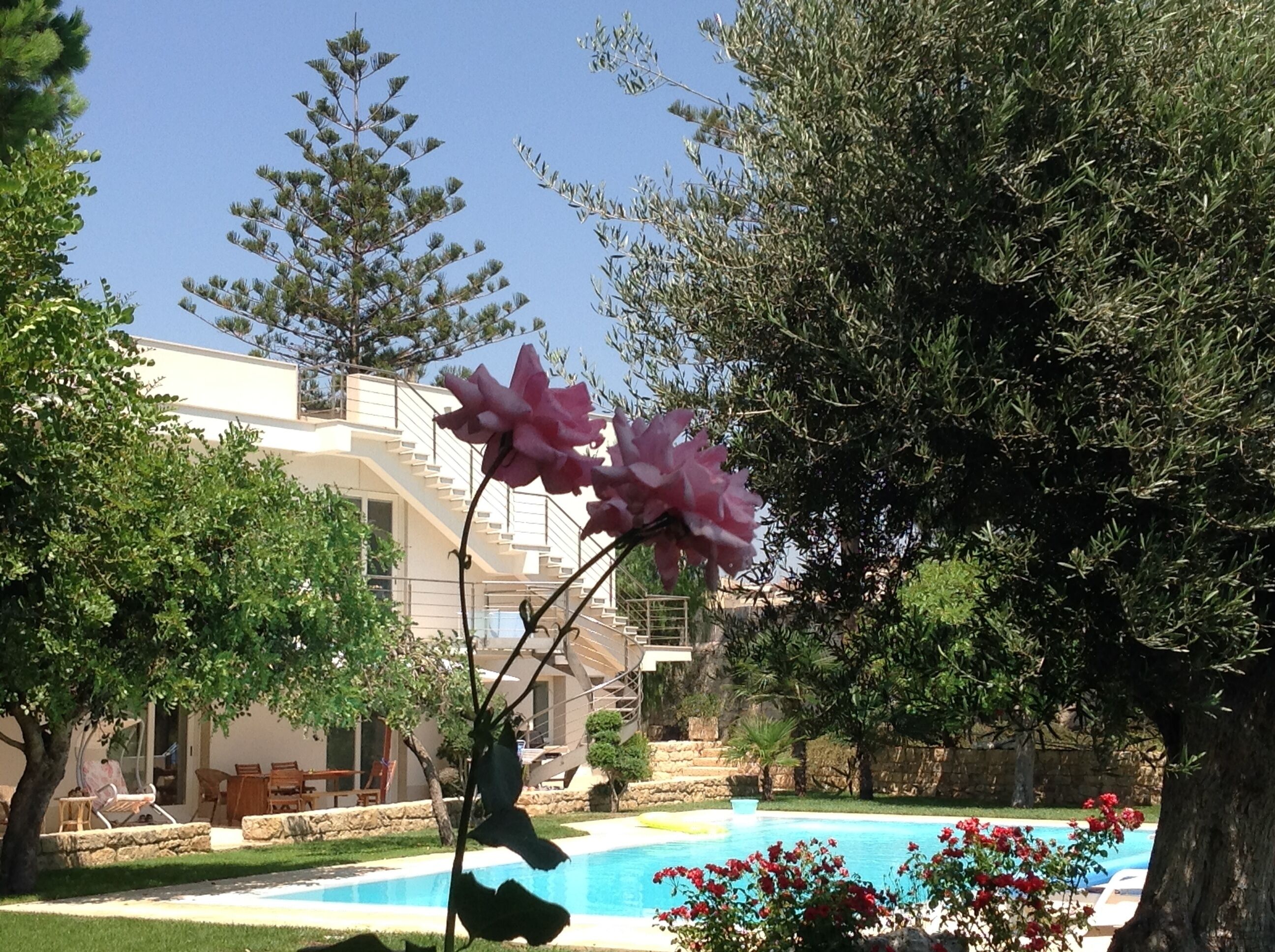 A pool area with a stone wall, a building with a balcony, and a tree with pink flowers.
