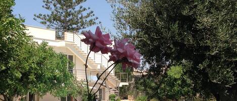 A pool area with a stone wall, a building with a balcony, and a tree with pink flowers.