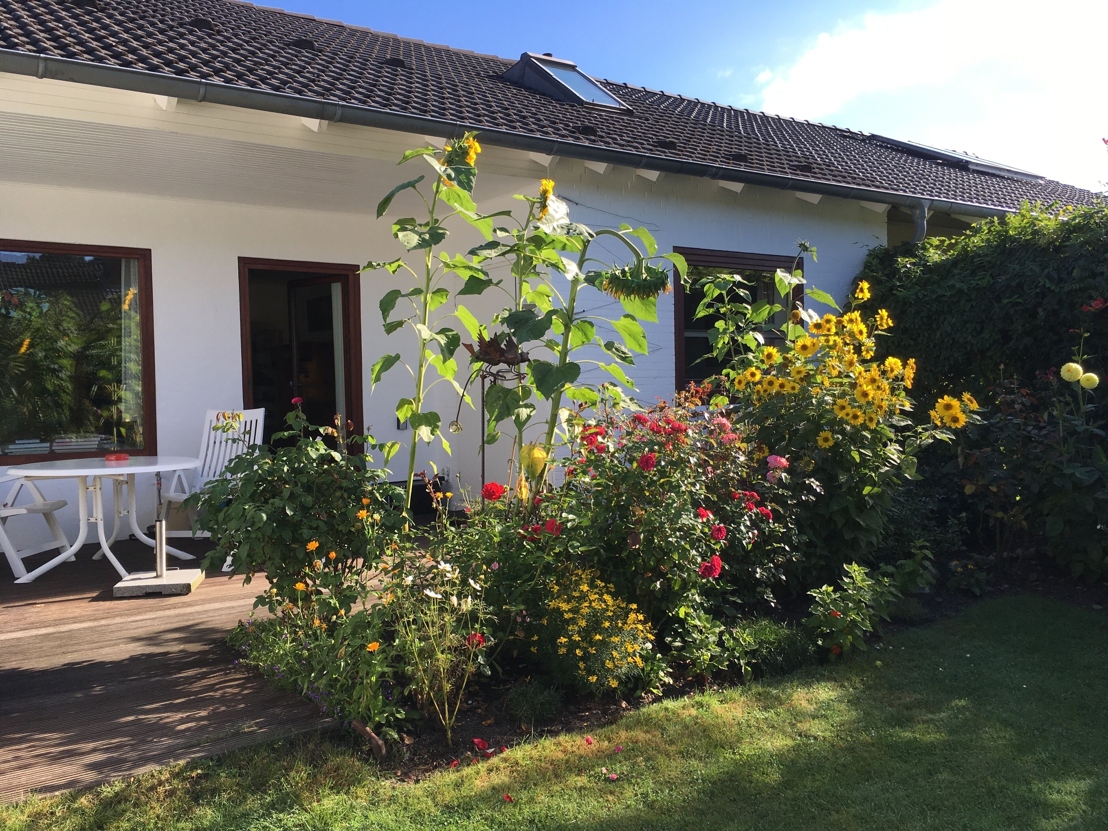 Top 10 LongTerm Rentals In Germany Updated 2024 Trip101