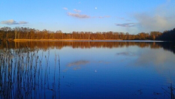 Ein ruhiger See mit Spiegelungen von Bäumen und blauem Himmel.