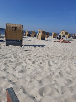 Sur une plage de sable, sous un ciel dégagé, on peut voir des chaises de plage numérotées 17, 64, 77, 100, 137 et 121.