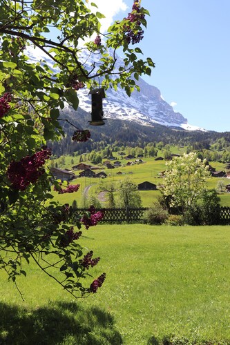 Cosy Chalet with big garden and mountain view, garage / Free WIFI