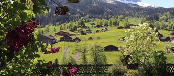 Cosy Chalet with big garden and mountain view, garage / Free WIFI