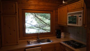 Une cuisine avec des meubles en bois, un évier en acier inoxydable, un four à micro-ondes et une fenêtre donnant sur les arbres.