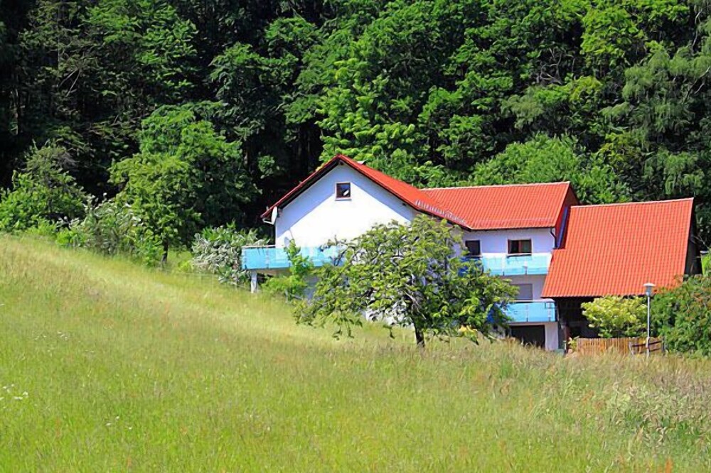 Apartment in an idyllic forest location with private balcony and terrace