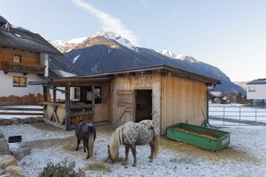 Ulkopuoli