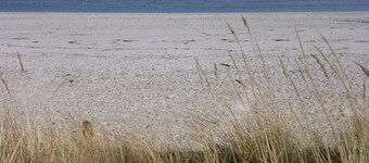 Neu! Komfortable 1-Zimmer-Ferienwohnung 'Dock 33', nur 50 m zum Strand