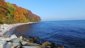 A rocky shoreline with autumn foliage and a clear view of the sea. - Apartment with stunning sea views directly above the beach promenade  (Sassnitz)
