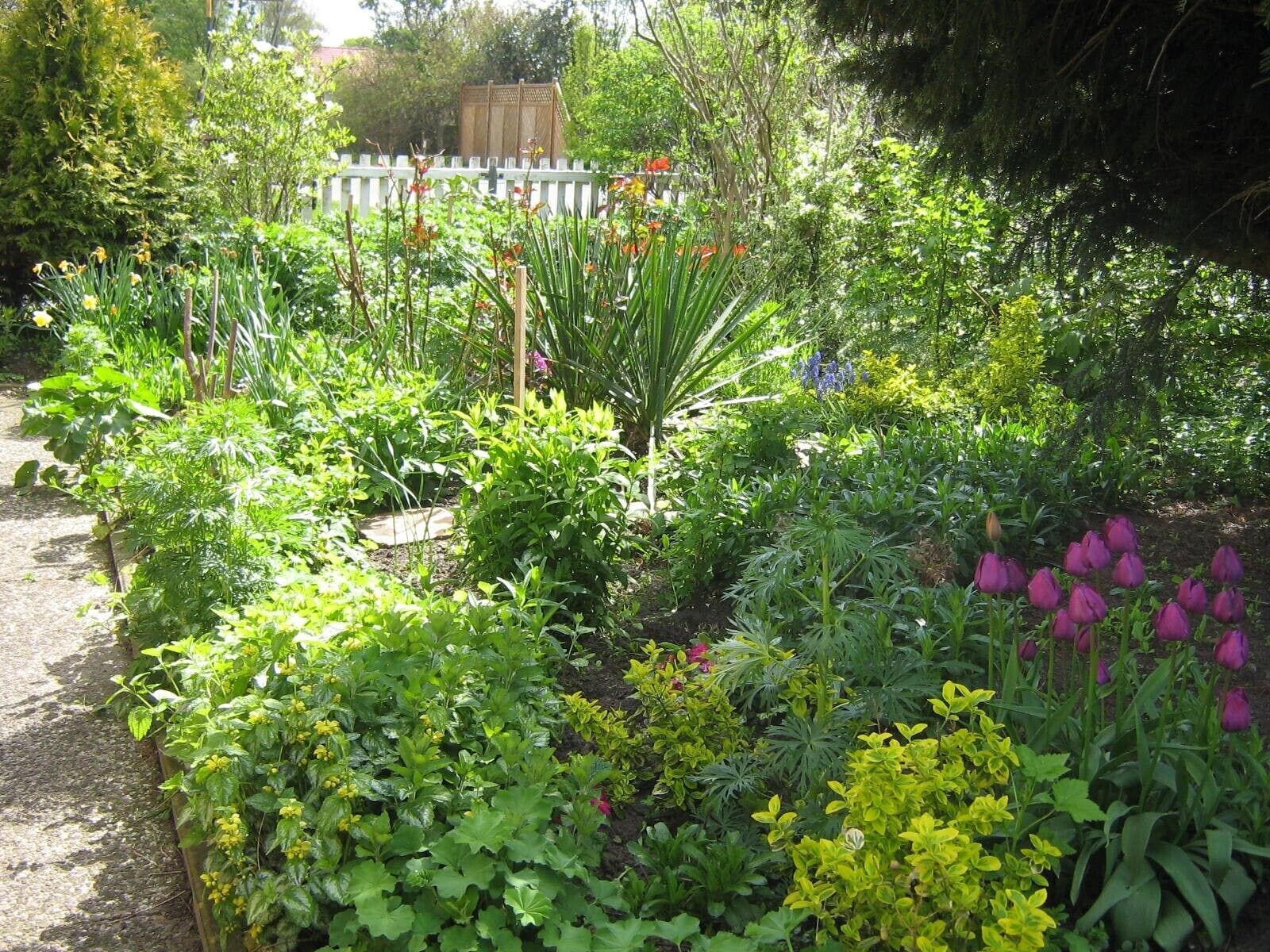 A garden with various plants and flowers, a wooden fence, and a pathway.
