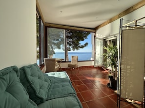 Smart TV, fireplace, books, stereo