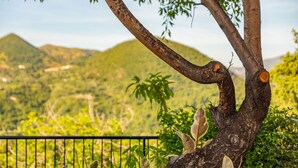 Property grounds - Beautiful Family Villa With Heated Swimming Pool And Stunning Sea/Mountain View (Kymi)