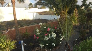 A garden with cacti, flowering plants, and palm trees.