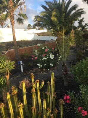 Property grounds - Offer May to June 100,-€ per night for 2 persons (Güime)