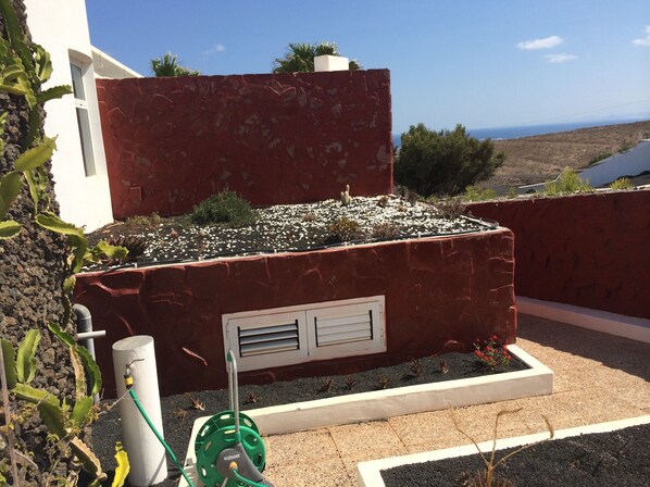Un jardin sur le toit, avec une variété de plantes et un tuyau d’arrosage.