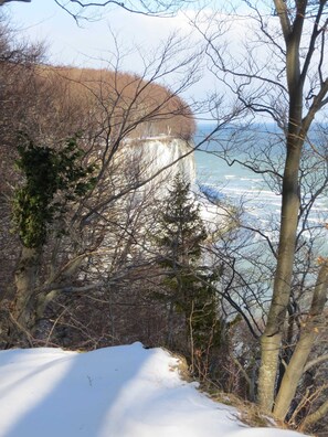 Botón de imagen sin clasificar, 5 de 37