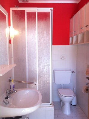 Shower, hair dryer, soap, toilet paper