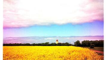 サンラウンジャー