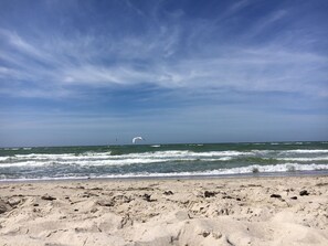Ein Strand mit Wellen, Seetang und blauem Himmel.