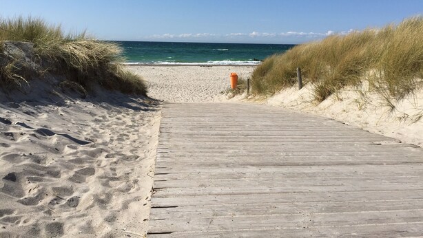 Ein hölzerner Steg führt zu einem Sandstrand, der von Dünen gesäumt wird.
