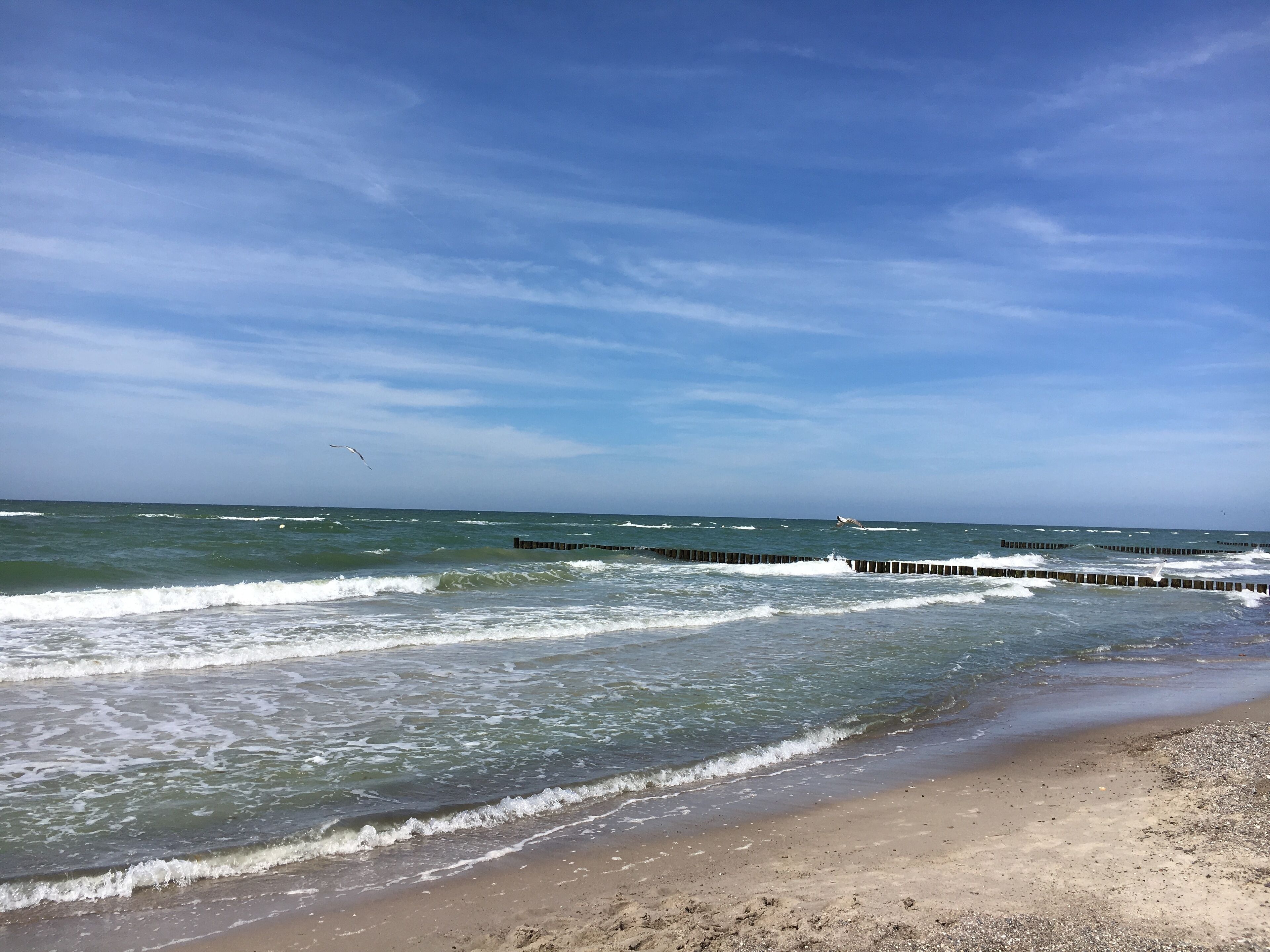Nær stranden og solsenger