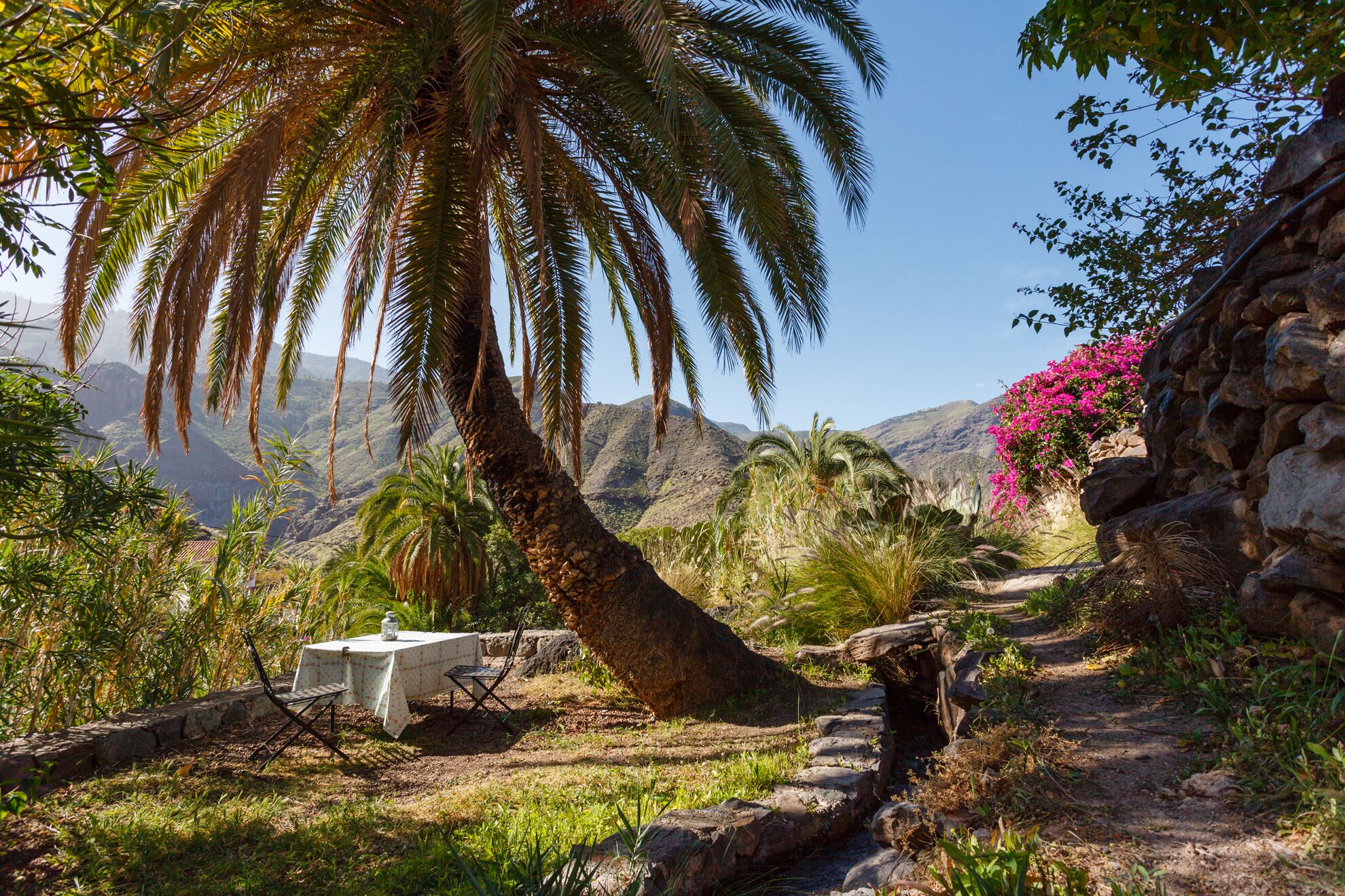 Casa La Pintora´s palm tree - breakfast inside the UNESCO Biosphere Reserve