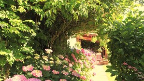 A stone pathway surrounded by lush greenery and pink hydrangea flowers. - Special prices in autumn! Charming apartment with large, heated pool (Rosières)