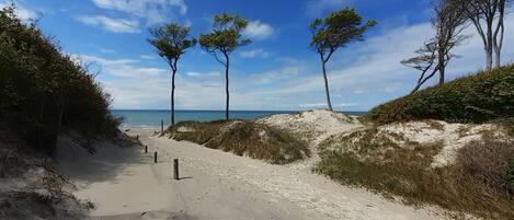 Ranta lähistöllä, aurinkotuoleja